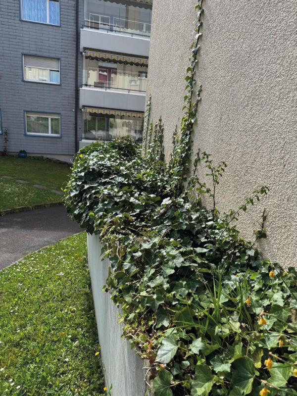 Vorher